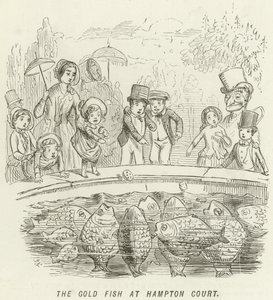 हैम्पटन कोर्ट में द गोल्ड फिश द्वारा John Leech
