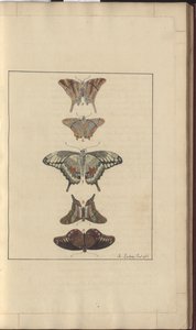लिंडसे ड्रॉइंग वॉल्यूम। VI, 32 द्वारा जॉन लिंडसे
