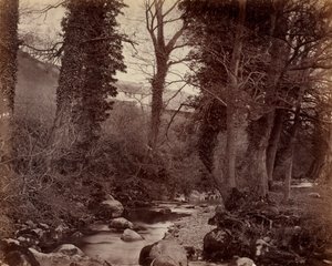 शीर्षकहीन, सी. 1859. द्वारा जॉन लॉयड