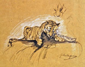 बाघिन खाना, c.1875 (कागज पर कोयला और रंगीन चाक)