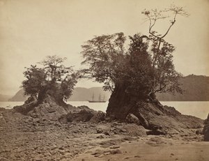 लिमोन बे में द्वीप, 1871। द्वारा जॉन मोरानी