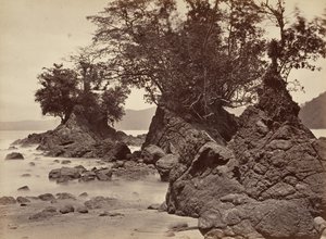 ट्रॉपिकल सीनरी, लिमोन बे - लो टाइड, 1871।