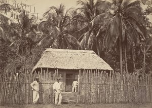 ट्रॉपिकल सीनरी, नेटिव हट, टर्बो, 1871।