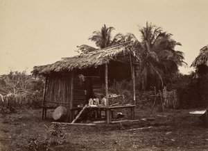 ट्रॉपिकल सीनरी, नेटिव हट, टर्बो, 1871। द्वारा जॉन मोरानी