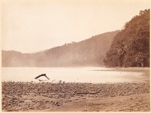  द्वारा जॉन मोरानी
