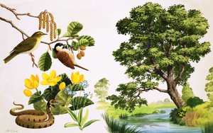  द्वारा जॉन रिग्नल