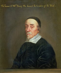 विलियम हार्वे का चित्रण (1578-1657)