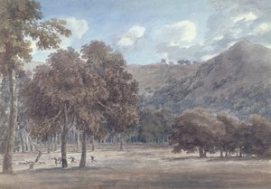 Il Parco da Degle &39;Astroni - प्रगति में हंट के साथ वुडेड क्रेटर बॉटम, 1783 (कागज पर ग्रेफाइट und wc)