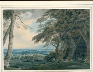 दक्षिण पश्चिम से विंडसर कैसल, c.1787-99 (कागज पर wc) द्वारा जॉन रॉबर्ट कोज़ेंस