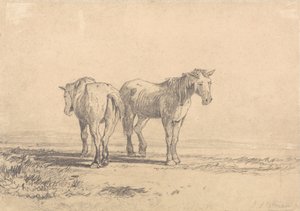 द्वारा जॉन बेच Cotman