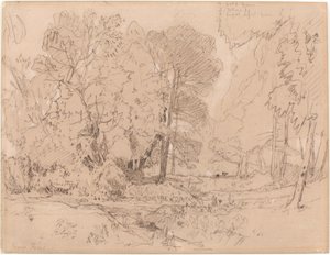 जंगली परिदृश्य द्वारा जॉन बेच Cotman
