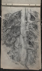 एक पेड़ का अध्ययन, 1871-72 (ग्रेफाइट पर सफेद सफेद कागज) द्वारा जॉन सिंगर सार्जेंट