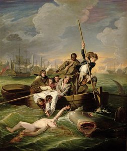 वाटसन और शार्क, 1782