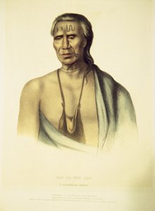 लैप-पे-विन-सो का पोर्ट्रेट, 1837 (हाथ का रंग लिथो)