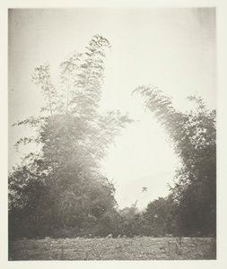 बाँस और बक्सा, फॉर्मोसा, सी। 1868. द्वारा जॉन थॉमसन