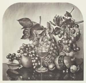 फल, सी. 1868. द्वारा जॉन थॉमसन