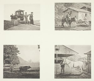 सेडान, एक सैन्य अधिकारी, हल, एक उत्तरी चीन टट्टू, सी। 1868. द्वारा जॉन थॉमसन