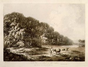 पुलो कोंडोर के द्वीप में एक दृश्य, 'दक्षिण समुद्र में दृश्य', पब से। 1792 (नक़्क़ाशी) द्वारा जॉन वेबर