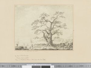F.44 समुद्र के किनारे का दृश्य, बीच में बड़ा पेड़, c.1783-84 द्वारा जॉन वेबर