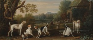 हाउंड्स जारी करना, c.1765 द्वारा जॉन वॉटन