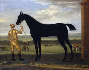 ड्यूक ऑफ डेवोनशायर का घुड़दौड़ का घोड़ा 'बास्तो', c.1708-25 (कैनवास पर तेल) द्वारा जॉन वॉटन
