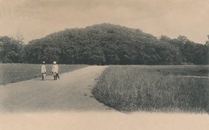 'द बनयान ट्री, बॉटनिकल गार्डन। कलकत्ता', 1906।