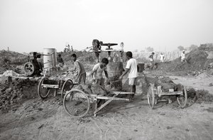  द्वारा जॉन निकोलसन