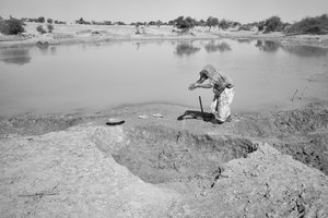  द्वारा जॉन निकोलसन