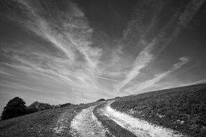  द्वारा जॉन निकोलसन