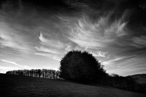  द्वारा जॉन निकोलसन