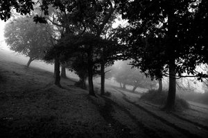  द्वारा जॉन निकोलसन