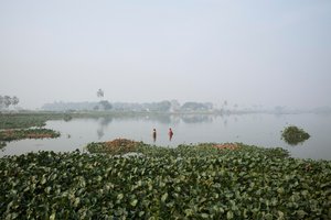  द्वारा जॉन निकोलसन