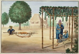 मनीला और यह Environs: एक दृश्य है