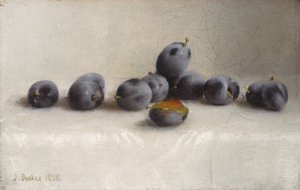 बारह प्लम, 1896