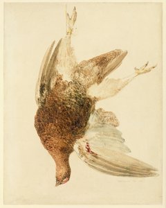 ग्राउज़, द फ़र्नली बुक ऑफ़ बर्ड्स से, c.1816 (कागज पर पेंसिल और वॉटरकलर) द्वारा जोसेफ मैलॉर्ड विलियम टर्नर