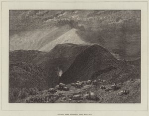 टर्नर, हिंद प्रमुख हिल