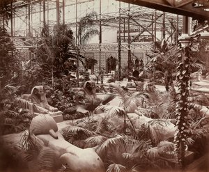 लंदन में क्रिस्टल पैलेस: उष्णकटिबंधीय खंड, c.1870 (b/w फोटो)