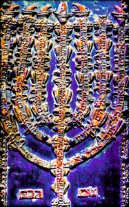  द्वारा जॉय लायंस
