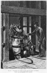 ली क्रेयुसैट में हॉर्स को कोलपिट से नीचे गिराया गया, लुई साइमन (1830-86) 1867 द्वारा &39;ला वी सॉटरेन&39; से चित्र