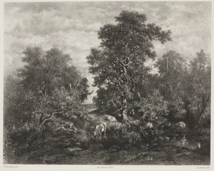 थिओडोर रूसो के बाद तालाब (1812-67)