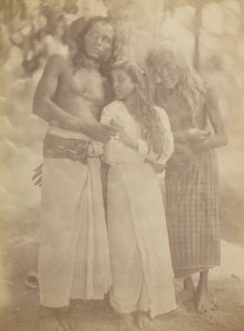 [सीलोनीज़ ग्रुप बाय ए ट्री], 1878। द्वारा जूलिया मार्गरेट कैमरून