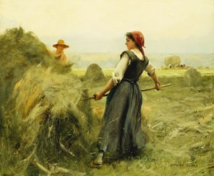 घास की कटाई; घास,