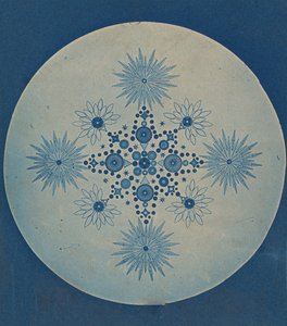 [डायटम्स के फ्रस्ट्यूल्स], सीए। 1870. द्वारा जूलियस विसनर।