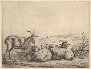 दो बकरियाँ और तीन भेड़ें, 1655। द्वारा कारेल डू जार्डिन