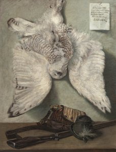  द्वारा Karel Purkyne