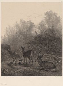 आराम पर हिंद। द्वारा कार्ल बॉडर