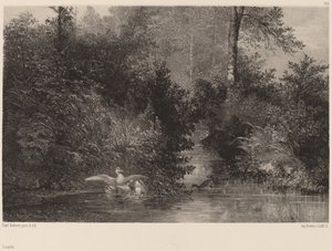 बतख, 18611866। द्वारा कार्ल बॉडर