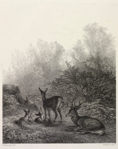  द्वारा कार्ल बॉडर