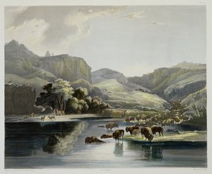 ऊपरी मिसौरी में बाइसन और एल्क के झुंड, कार्ल वोगेल (1816-51) 1844 (एक्वाटिंट) द्वारा उत्कीर्ण &39;ट्रैवल्स ऑफ नॉर्थ अमेरिका&39; के वॉल्यूम 2 से प्लेट 47।