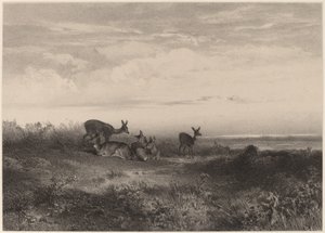 हिंद। द्वारा कार्ल बॉडर